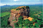 0822-003-01219R-1.jpg
